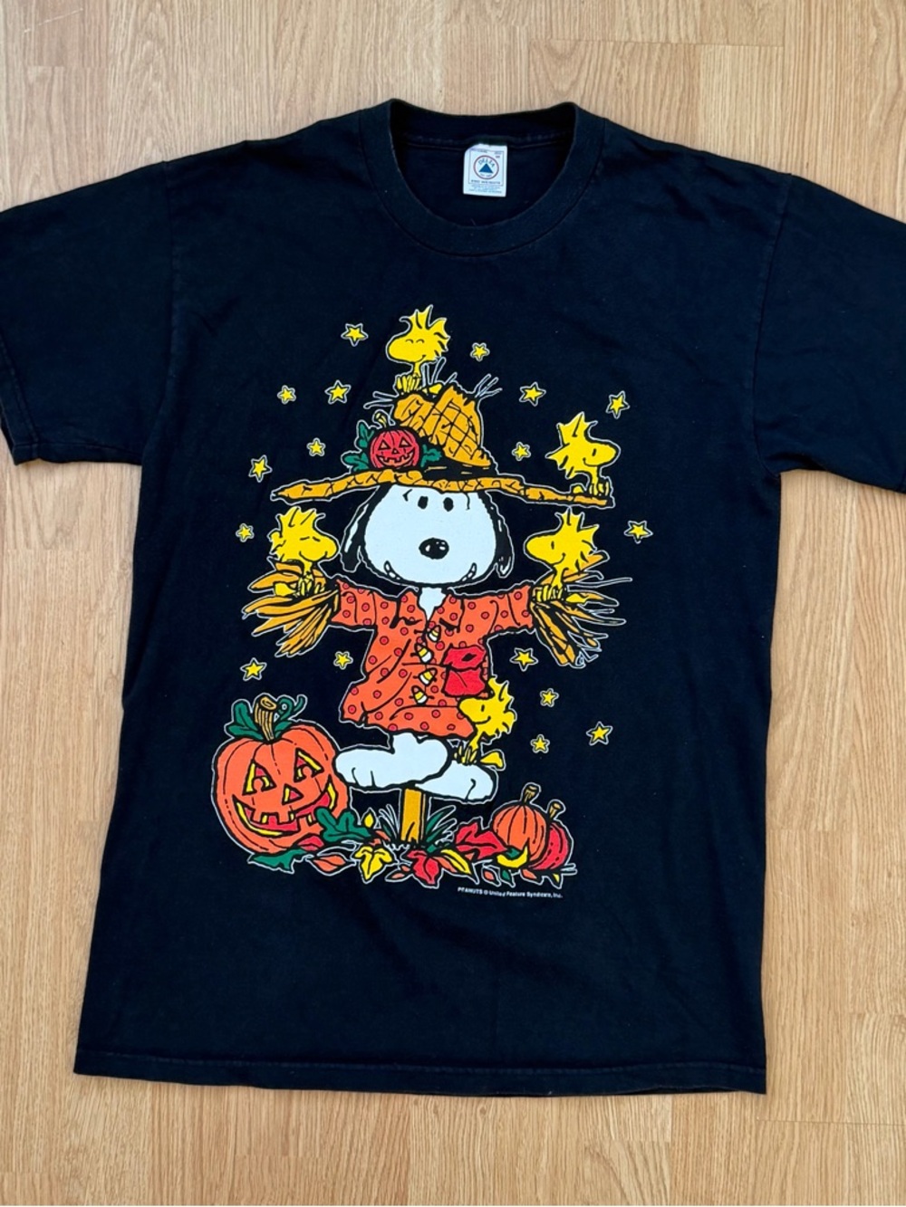 Vintage Snoopy Woodstock Peanuts Halloween Pumpkin T-Shirt Delta Pro M